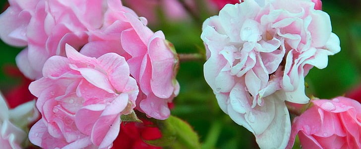 儿童节快乐(通用170句),第3张