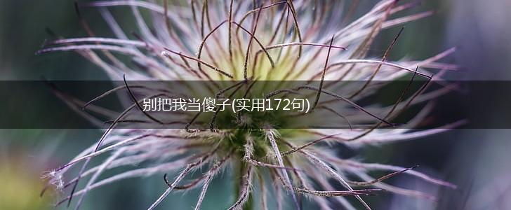别把我当傻子(实用172句),第1张