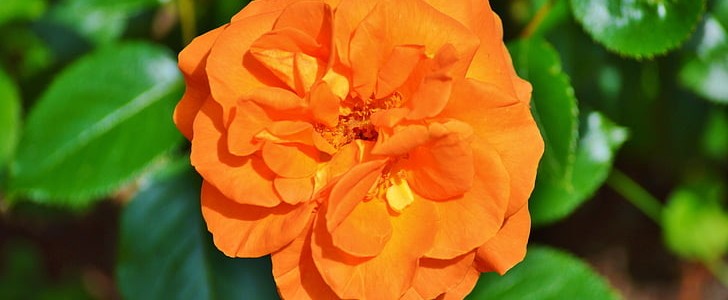 下雨好兆头吉祥话(热门182句),第3张
