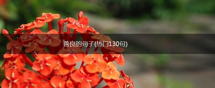 善良的句子(热门130句),第1张