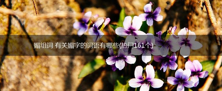 媚组词 有关媚字的词语有哪些(热门161个),第1张