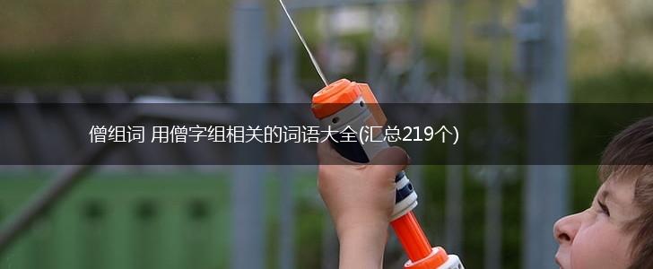 僧组词 用僧字组相关的词语大全(汇总219个),第1张