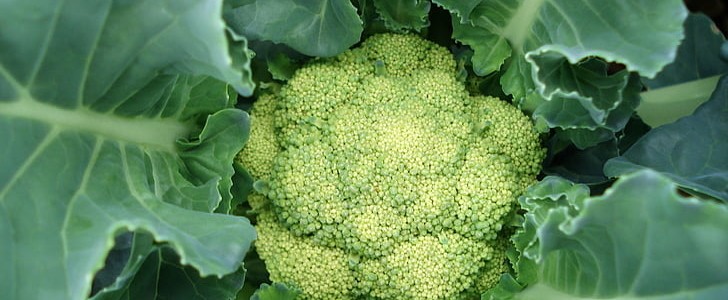 优美词句摘抄(共208句),第2张