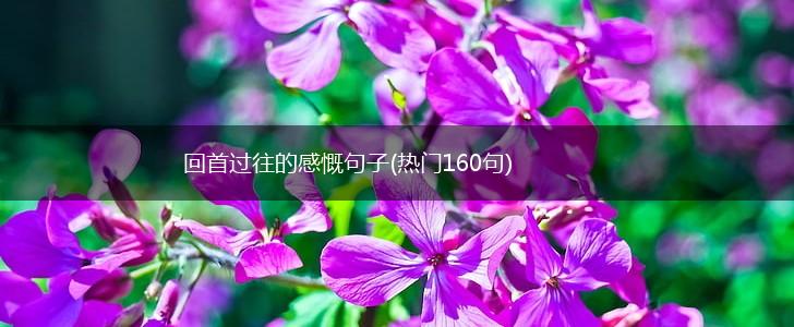 回首过往的感慨句子(热门160句),第1张