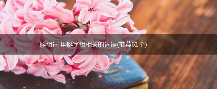 艇组词 用艇字组相关的词语(推荐61个),第1张