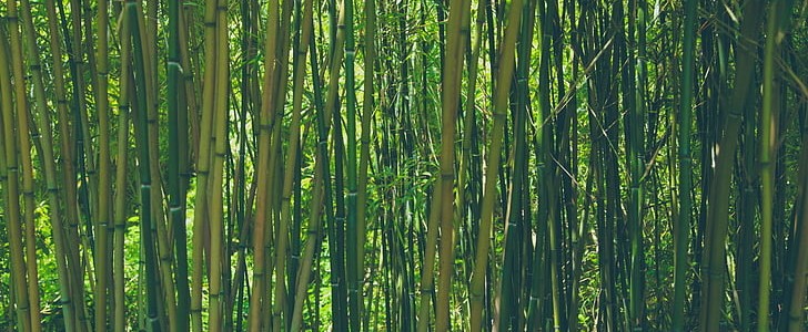 世界杯经典语录(合集139句),第3张