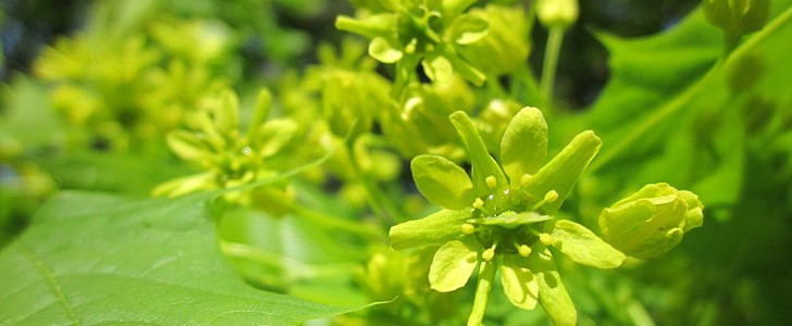只钟情于一个人的句子(必备155句),第3张