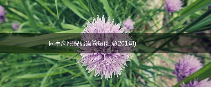同事离职祝福语简短(汇总201句),第1张