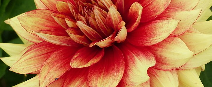 关于中秋节的古诗(优选170句),第3张
