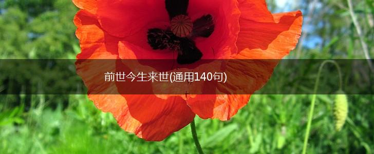 前世今生来世(通用140句),第1张
