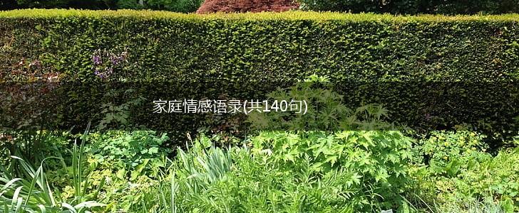 家庭情感语录(共140句),第1张