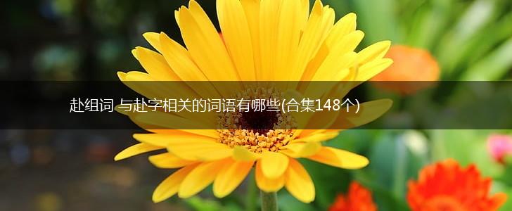 赴组词 与赴字相关的词语有哪些(合集148个),第1张