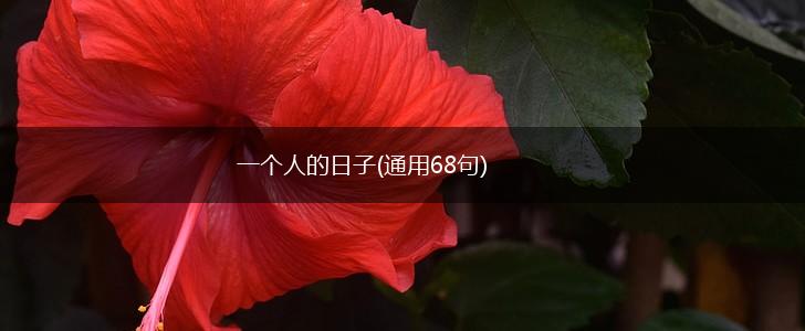 一个人的日子(通用68句),第1张