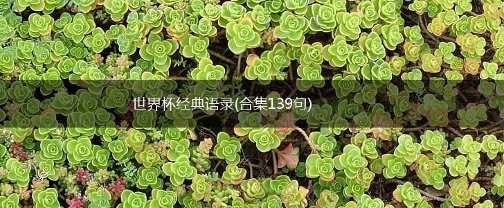 世界杯经典语录(合集139句),第1张