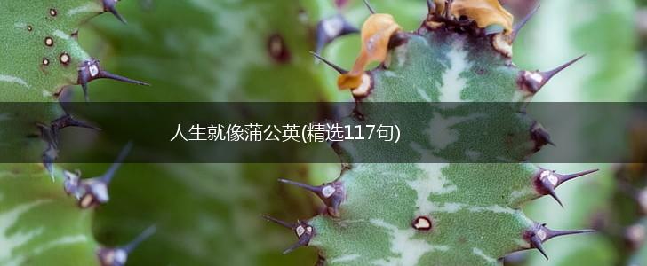 人生就像蒲公英(精选117句),第1张