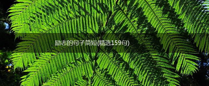 励志的句子简短(精选159句),第1张