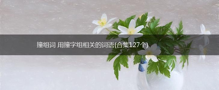 撞组词 用撞字组相关的词语(合集127个),第1张