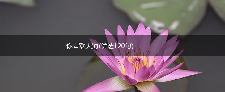 你喜欢大海(优选120句),第1张