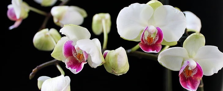 全家幸福的祝福语(必备198句),第3张