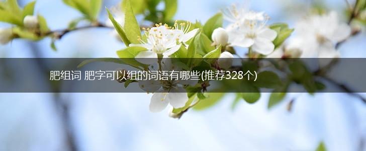 肥组词 肥字可以组的词语有哪些(推荐328个),第1张