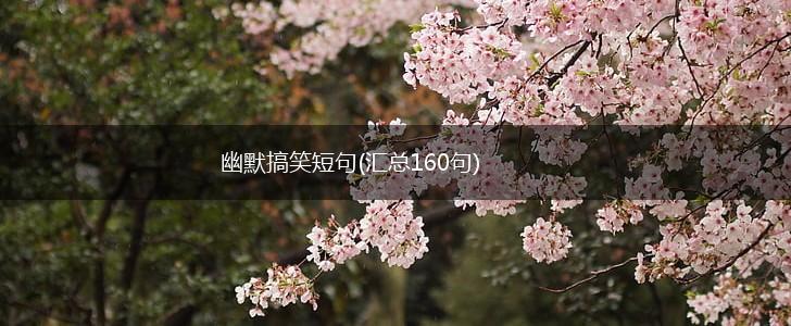 幽默搞笑短句(汇总160句),第1张