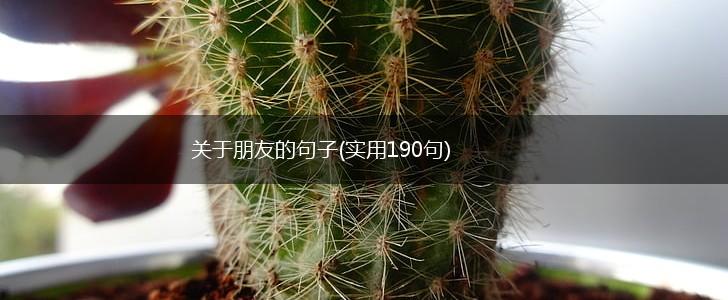 关于朋友的句子(实用190句),第1张