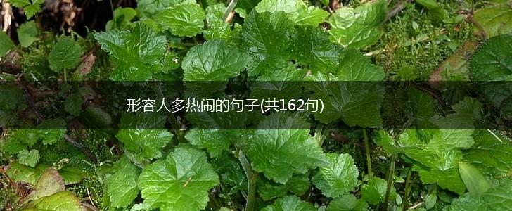 形容人多热闹的句子(共162句),第1张