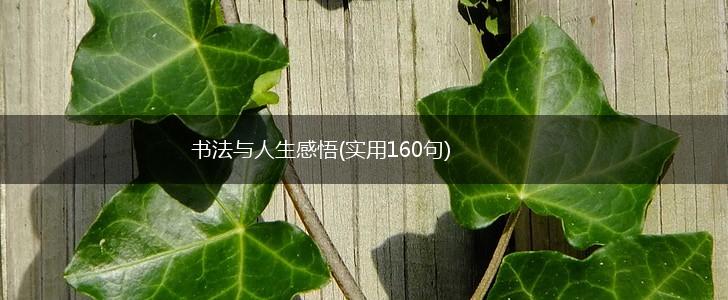 书法与人生感悟(实用160句),第1张