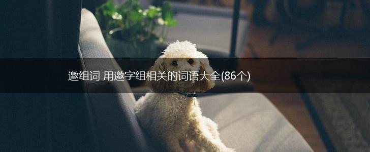 邀组词 用邀字组相关的词语大全(86个),第1张