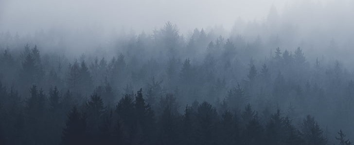 哈尔滨的雪(共96句),第3张