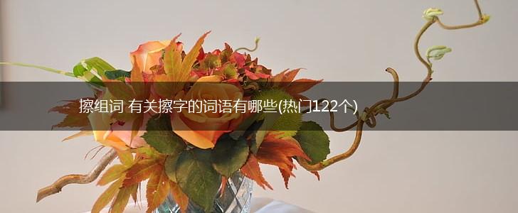 擦组词 有关擦字的词语有哪些(热门122个),第1张