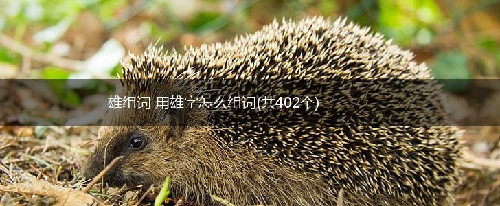 雄组词 用雄字怎么组词(共402个),第1张
