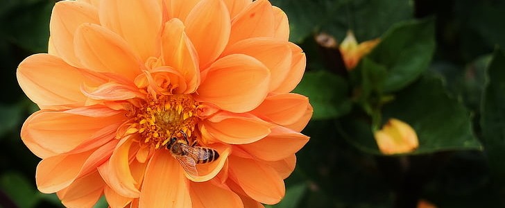 回家朋友圈(共190句),第3张