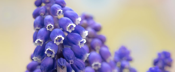 儿童节快乐(通用170句),第2张