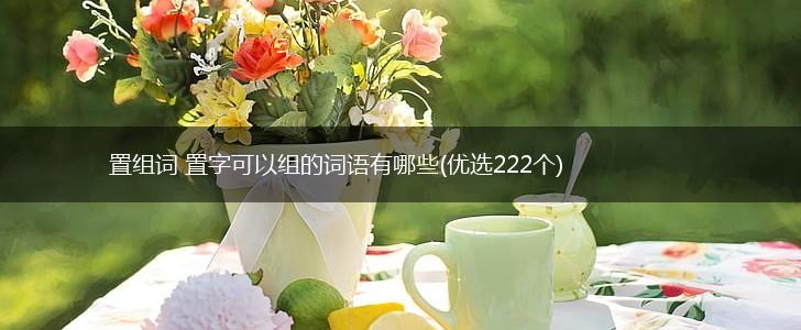 置组词 置字可以组的词语有哪些(优选222个),第1张