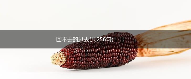 回不去的过去(共256句),第1张