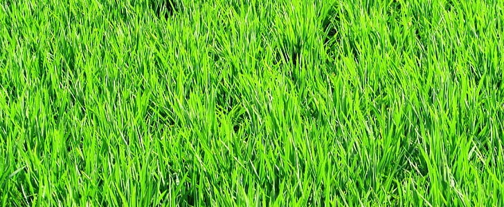 个性签名人生感悟(优选210句),第3张