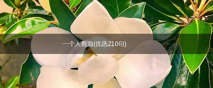 一个人看海(优选210句),第1张