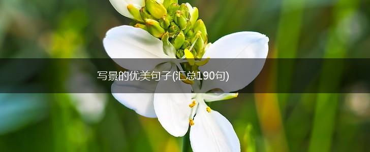 写景的优美句子(汇总190句),第1张
