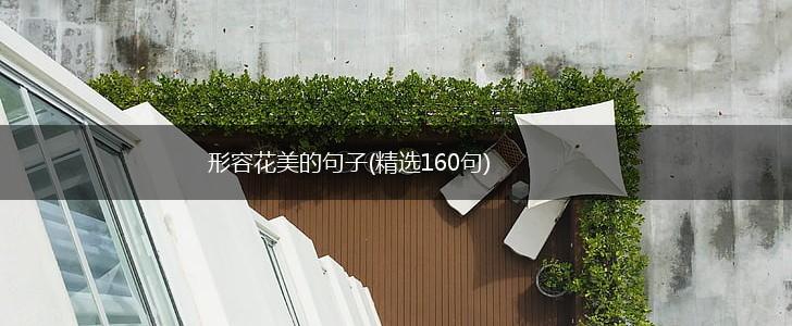 形容花美的句子(精选160句),第1张
