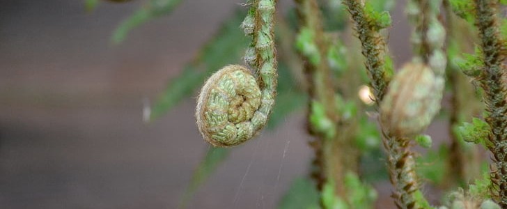 上夜班的幽默句子(推荐200句),第3张
