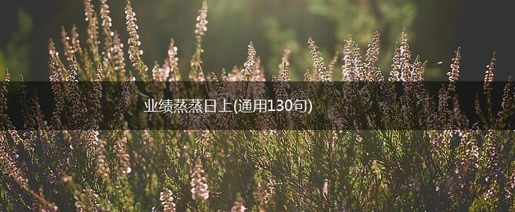 业绩蒸蒸日上(通用130句),第1张