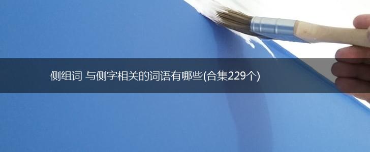 侧组词 与侧字相关的词语有哪些(合集229个),第1张