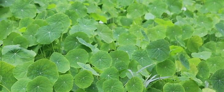 好听的英语句子(303句),第3张