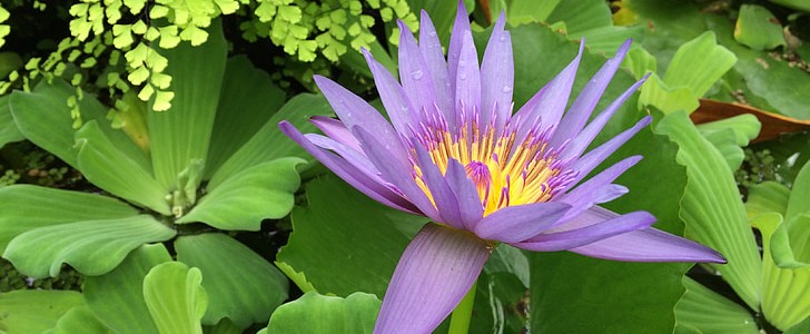 心态正能量的句子(热门141句),第2张