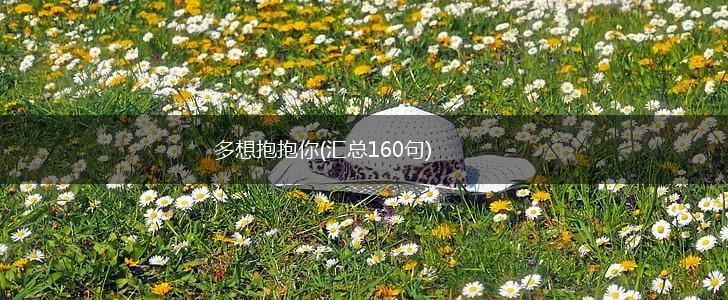 多想抱抱你(汇总160句),第1张
