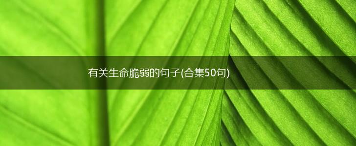 有关生命脆弱的句子(合集50句),第1张