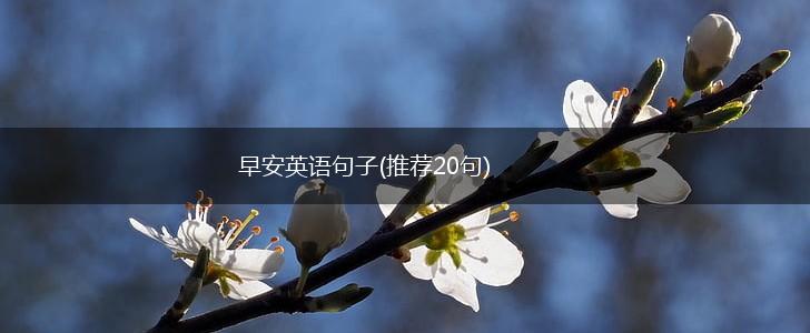 早安英语句子(推荐20句),第1张