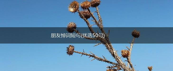 朋友悼词短句(优选50句),第1张