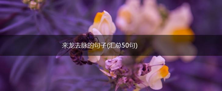 来龙去脉的句子(汇总50句),第1张